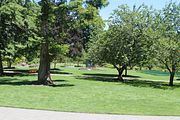56 - Butchard Gardens  - IMG_1649